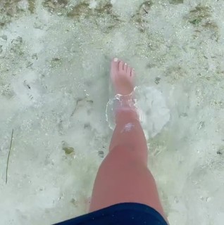 Carol Bresolin feet photo 13