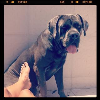 Carol Castro feet photo thumbnail