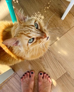 Carol Castro feet photo thumbnail