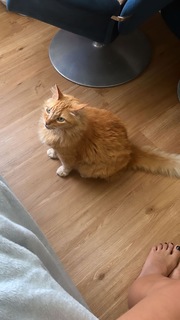 Carol Castro feet photo thumbnail