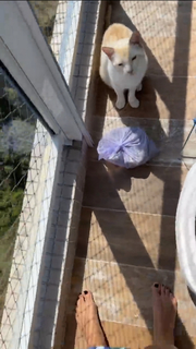 Carol Castro feet photo thumbnail