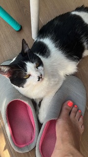 Carol Castro feet photo thumbnail