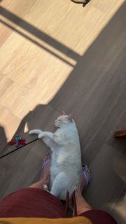 Carol Castro feet photo thumbnail