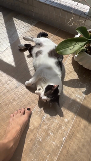 Carol Castro feet photo thumbnail