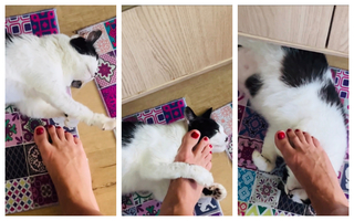 Carol Castro feet photo thumbnail