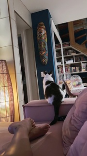 Carol Castro feet photo thumbnail