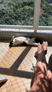 Carol Castro feet photo thumbnail