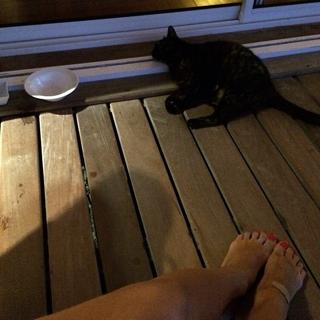 Carol Dias feet photo thumbnail