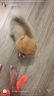 Carol Dias feet photo thumbnail