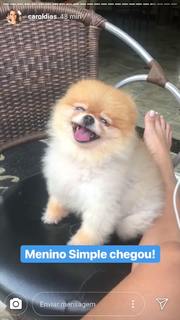 Carol Dias feet photo thumbnail