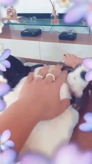 Carol Nakamura feet photo 20
