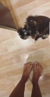 Carol Portaluppi feet photo 16