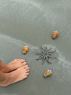 Carol Portaluppi feet photo 10