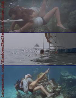 Carole Bouquet feet photo thumbnail