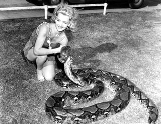 Carole Landis feet photo 8