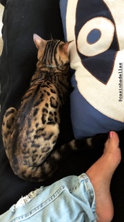 Carolina Dieckmann feet photo thumbnail