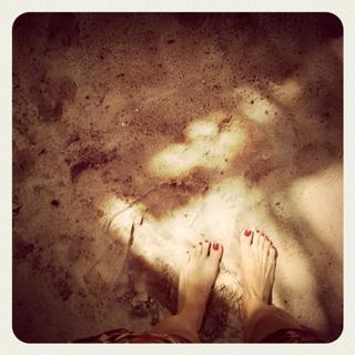 Carolina Ferraz feet photo 7