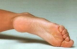 Carolina Ferraz feet photo 4
