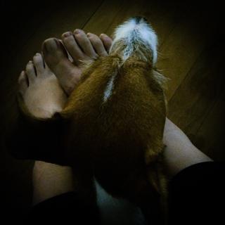 Carolina Kasting feet photo thumbnail