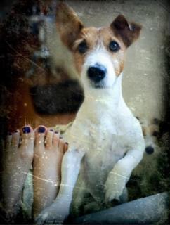 Carolina Kasting feet photo thumbnail