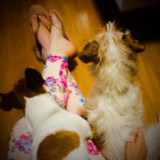 Carolina Kasting feet photo thumbnail