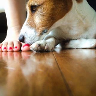 Carolina Kasting feet photo thumbnail