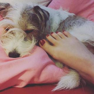 Carolina Kasting feet photo thumbnail