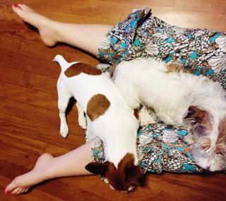 Carolina Kasting feet photo thumbnail