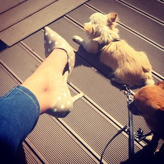 Carolina Marconi feet photo 9