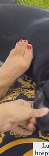 Carolina Ramírez feet photo 10