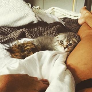 Caroline Flack feet photo thumbnail