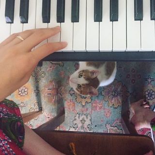 Caroline Polachek feet photo 12
