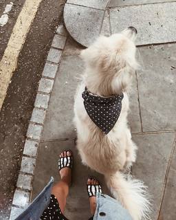 Caroline Receveur feet photo 4