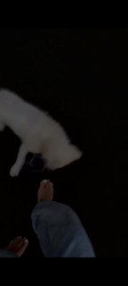 Caroline Receveur feet photo 19