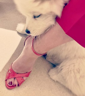 Caroline Roux feet photo 11