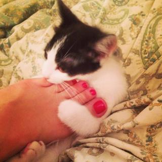 Caroline Vreeland feet photo thumbnail