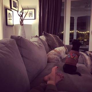 Carrie Ann Inaba feet photo thumbnail