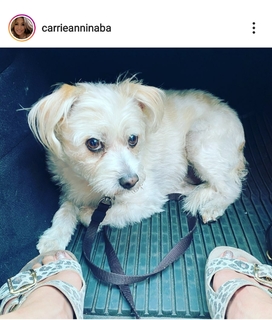 Carrie Ann Inaba feet photo thumbnail