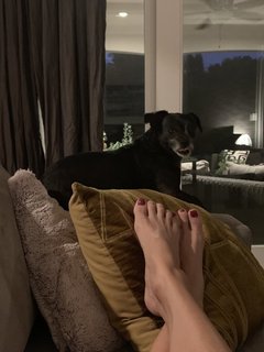 Carrie Ann Inaba feet photo thumbnail