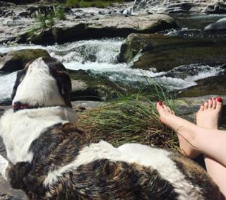 Carrie Brownstein feet photo 2
