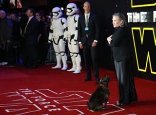 Carrie Fisher feet photo thumbnail