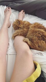 Carrie Keagan feet photo thumbnail