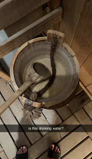 Caryn Marjorie feet photo thumbnail