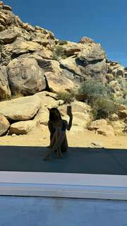 Caryn Marjorie feet photo thumbnail