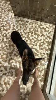 Caryn Marjorie feet photo thumbnail