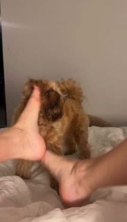 Casey Burgess feet photo 8