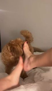 Casey Burgess feet photo 7