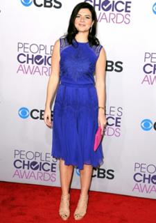 Casey Wilson feet photo 5