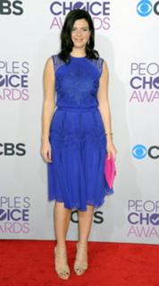Casey Wilson feet photo 13