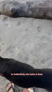 Casimere Jollette feet photo 18
